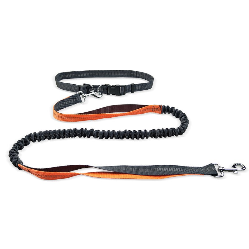 Dog Walking Belt