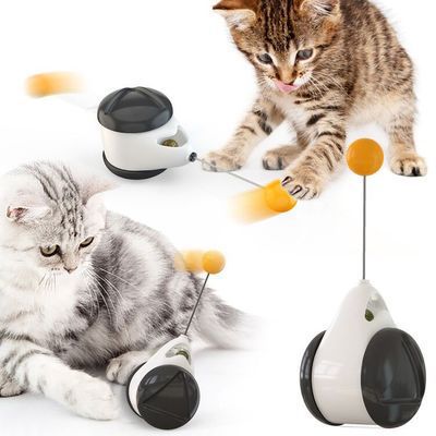 Toy for Cats with Treat Dispenser