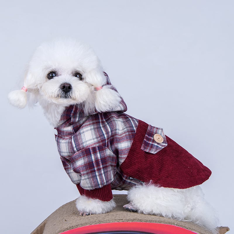 Dog Cashmere Coat