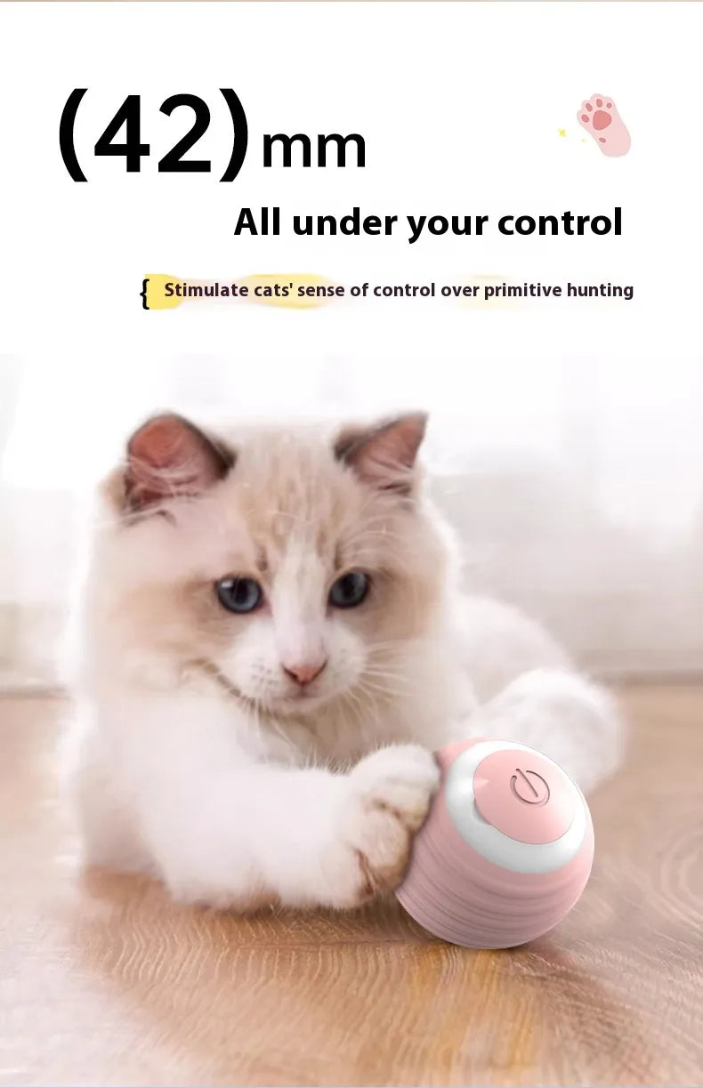 Dog Toy Ball