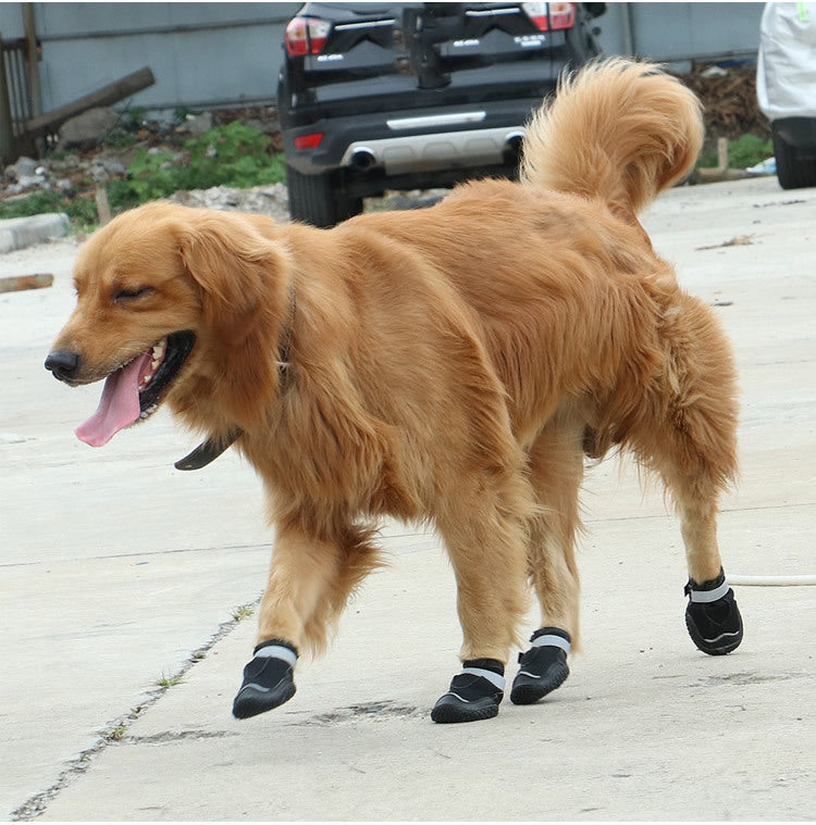 Shoes for dogs