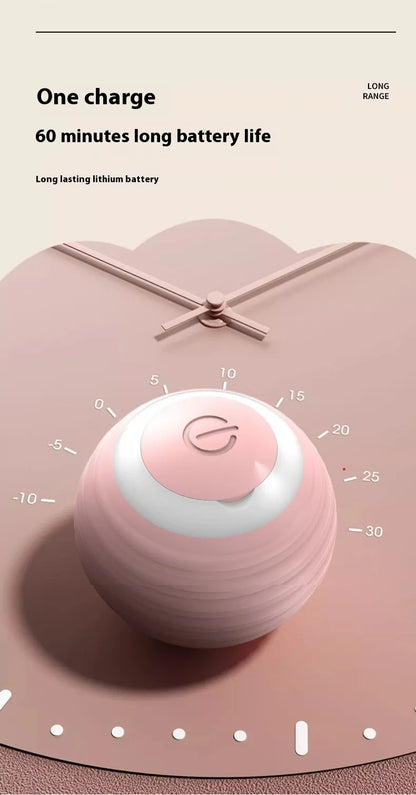 Dog Toy Ball