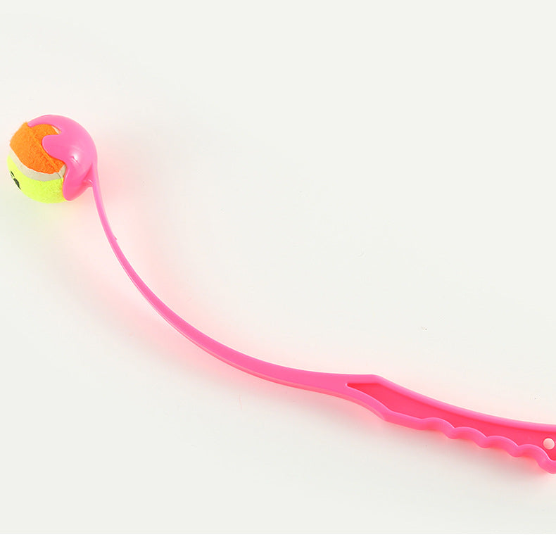 Dog Training Toy