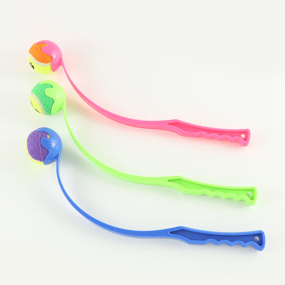 Dog Training Toy