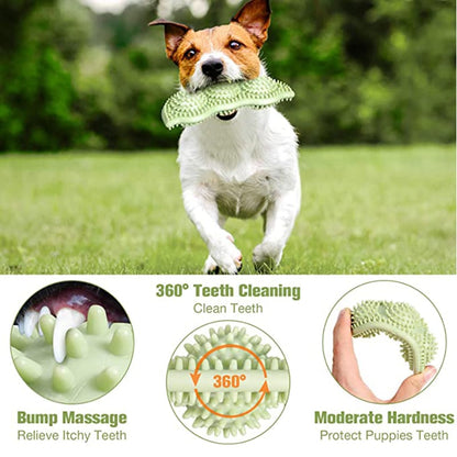 Dog Toy Ball for Interactive Chewing
