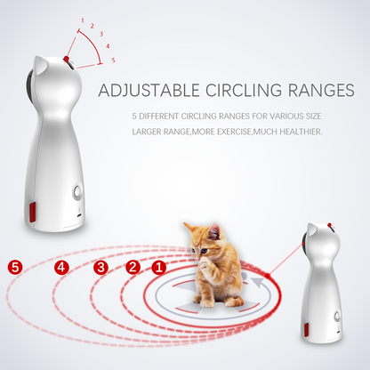 Cat Teaser Toy
