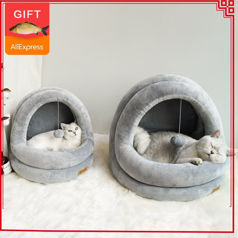 cat bed with hanging toy