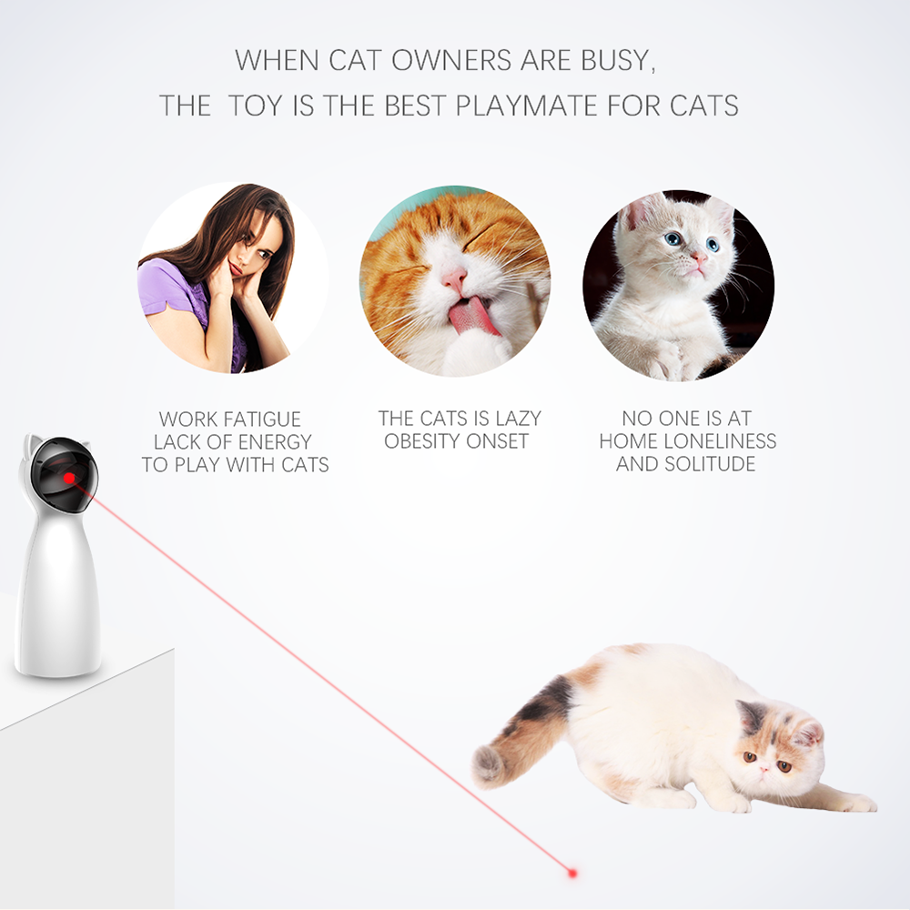 Cat Teaser Toy