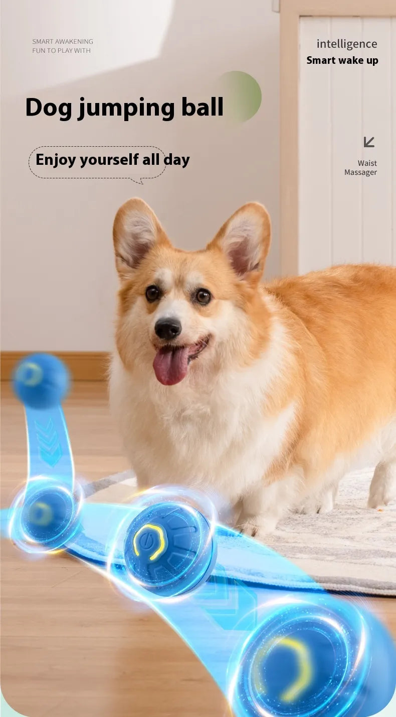 Dog Toy Ball