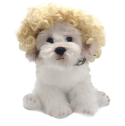 wigs for cats