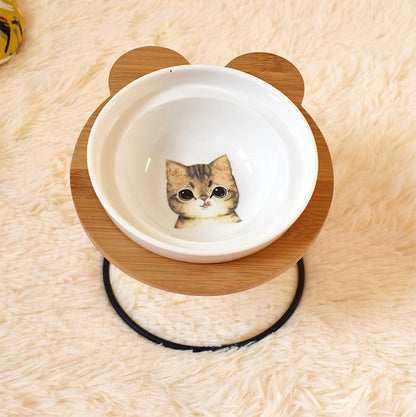 Spine Protection Bowl for cats
