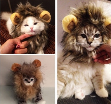 Lion costume  for Cats and Kittens