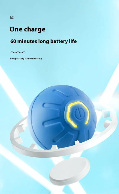 Dog Toy Ball
