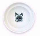 Spine Protection Bowl for cats
