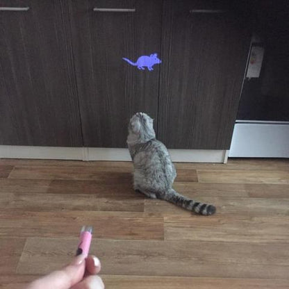 Cat Toy Projector Flashlight