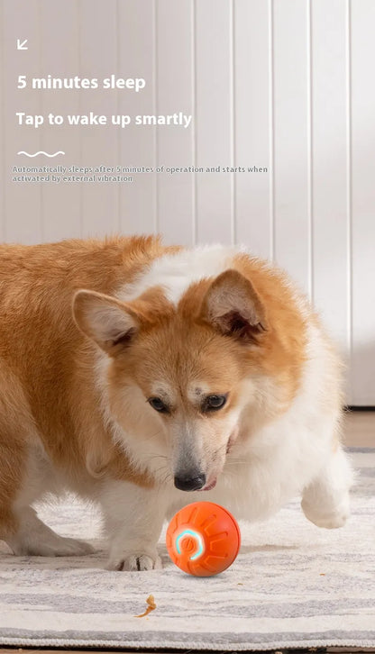 Dog Toy Ball