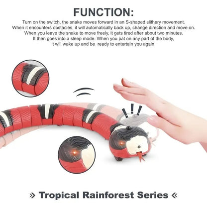 Snake Toy for Cats