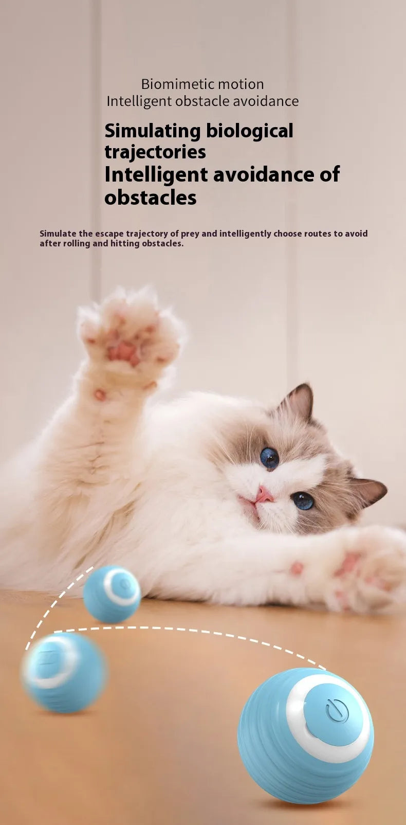 Dog Toy Ball