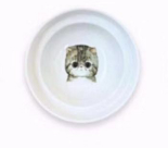 Spine Protection Bowl for cats