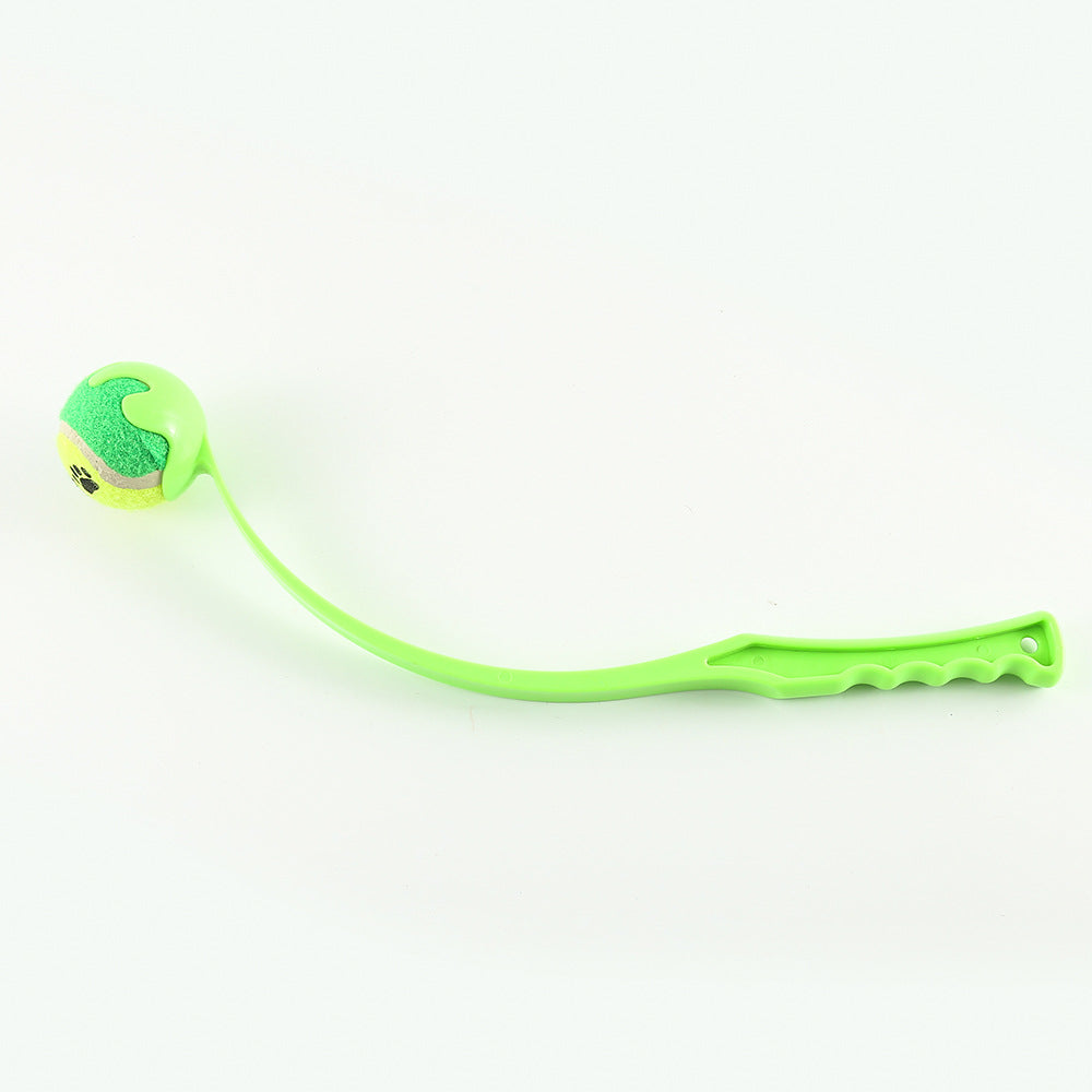 Dog Training Toy