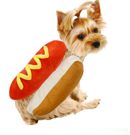 Hot Dog custome for Cats and Dogs