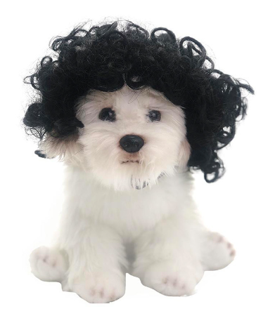 wigs for cats