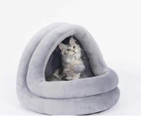 cat bed with hanging toy