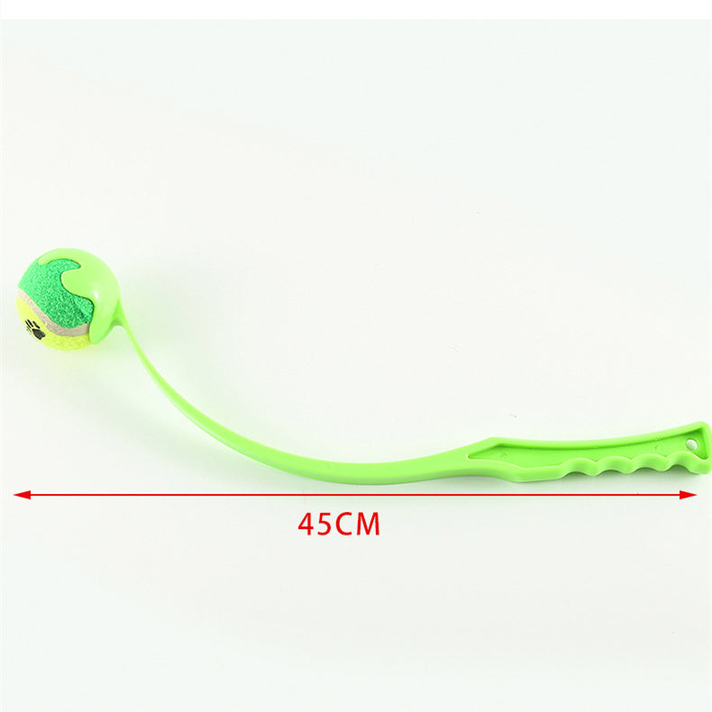 Dog Training Toy
