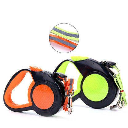 Pet Leash for Enhanced Safety