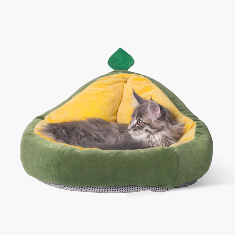 plant-shaped cat bed
