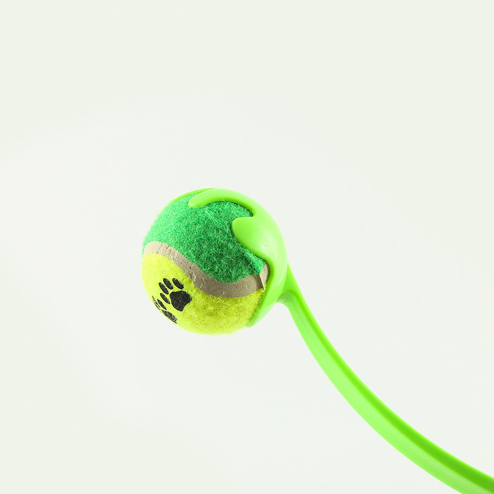Dog Training Toy